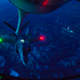 Image for article titled The F-35 Looks Like a Stealth Spaceship at Night